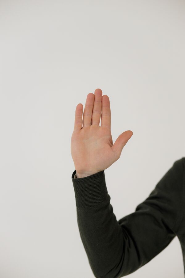 Rollei Easy Creator Desktop AI 