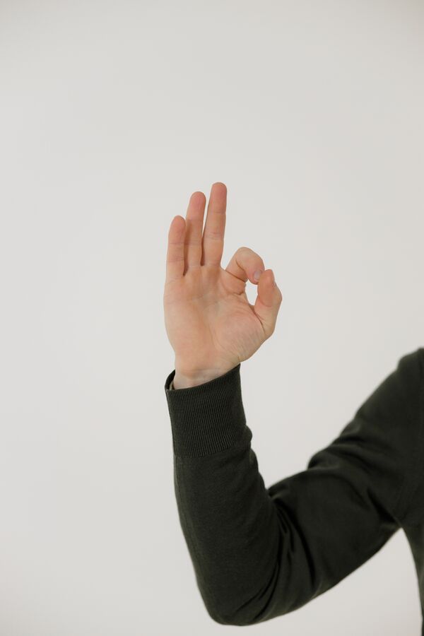 Rollei Easy Creator Desktop AI 