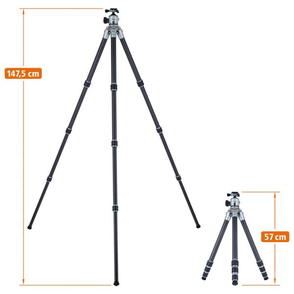 Rollei Lion Rock Pro inkl. Stativkopf 