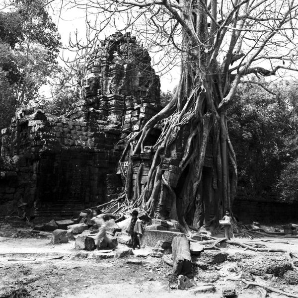 Rollei Retro 135-36 SW-Negativfilm  ISO 80