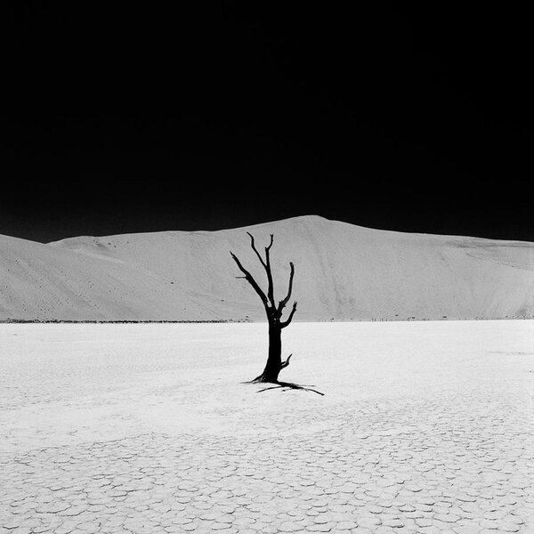 Rollei RPX 100 Rollfilm 120 