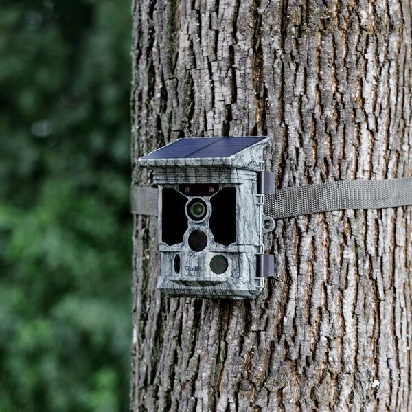 Rollei Solar-Powered 4K WiFiWildlife 
