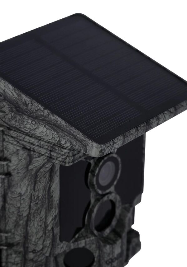 Rollei Solar-Powered 4K WiFiWildlife 