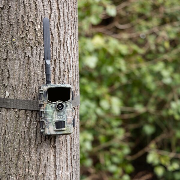 Rollei Wildkamera 4G 