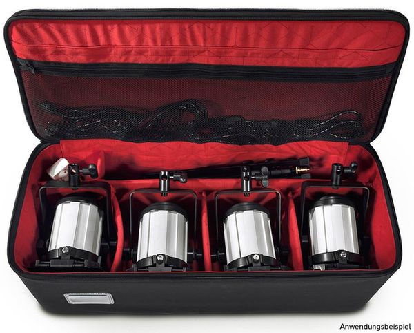 Sachtler Lite Case  L