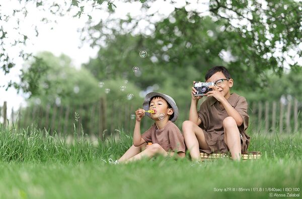 Samyang AF 85mm f/1.8 P   Sony FE-Mount