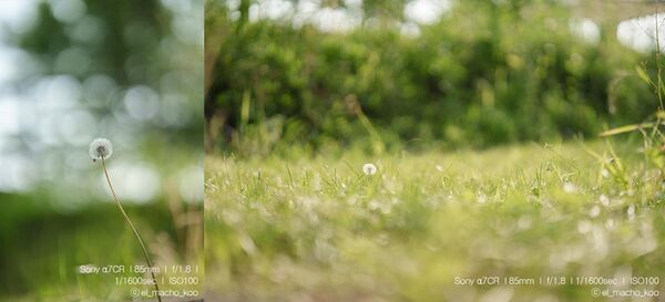 Samyang AF 85mm f/1.8 P   Sony FE-Mount