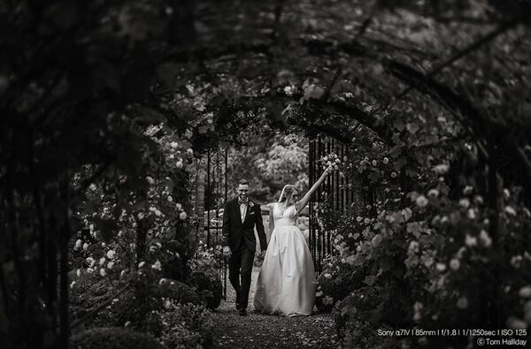 Samyang AF 85mm f/1.8 P   Sony FE-Mount