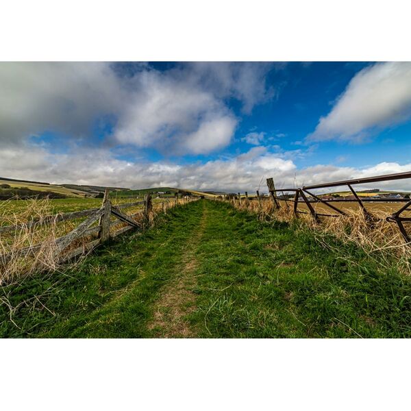 Samyang MF 14mm F2,8 II  Fujifilm X