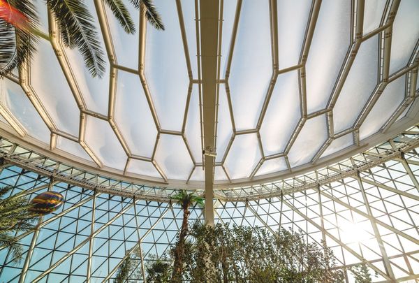 Samyang XP 10mm f/3,5  Nikon FX