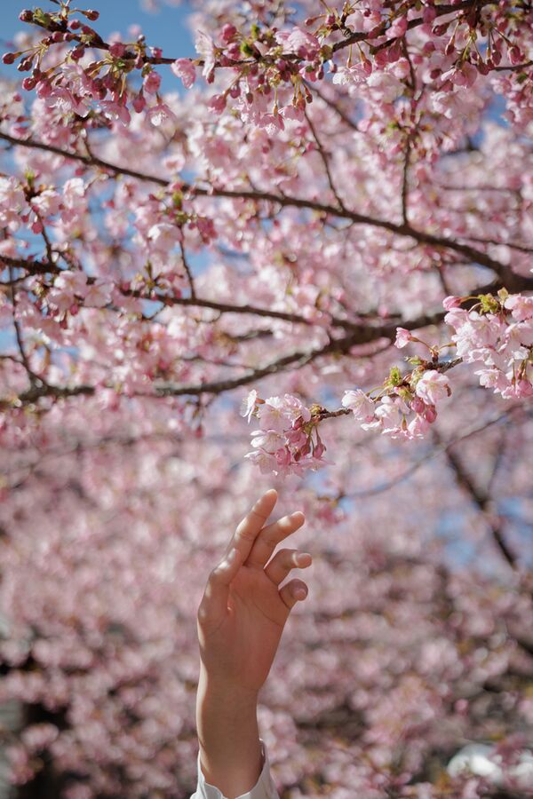 Sigma 17-40mm f/1.8 DC Art  Fujifilm X