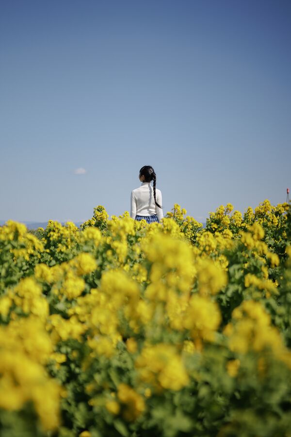 Sigma 17-40mm f/1.8 DC Art  Fujifilm X