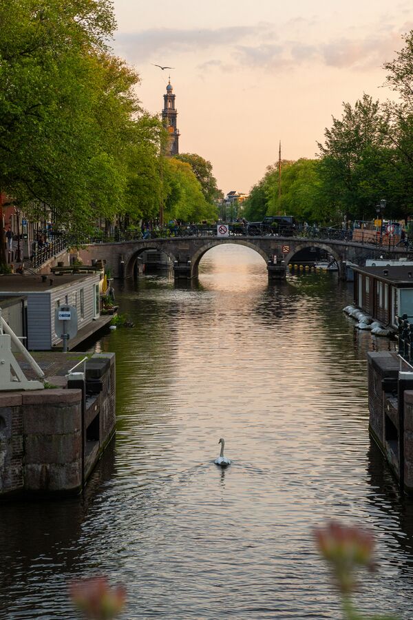 Sigma AF 18-50mm f/2,8 DC DN Contemporary  Sony E-Mount