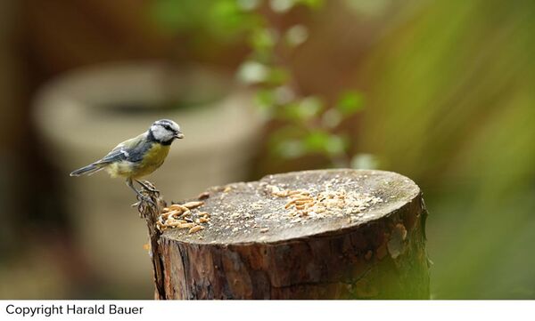 Sigma 200mm f/2 DG OS Sport  L-Mount