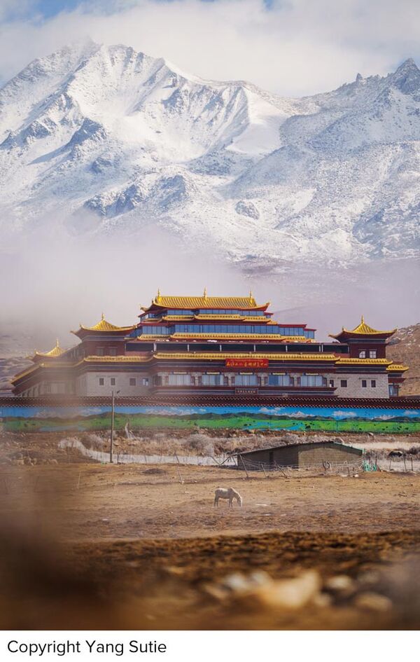 Sigma 200mm f/2 DG OS Sport  L-Mount