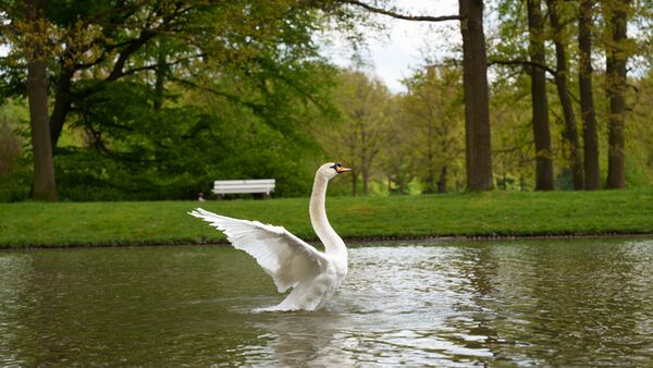 Sigma 24-70mm f/2,8 DG DN II Art   Sony FE-Mount