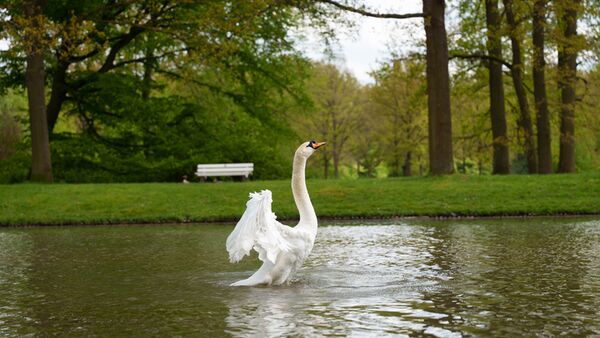 Sigma 24-70mm f/2,8 DG DN II Art   Sony FE-Mount