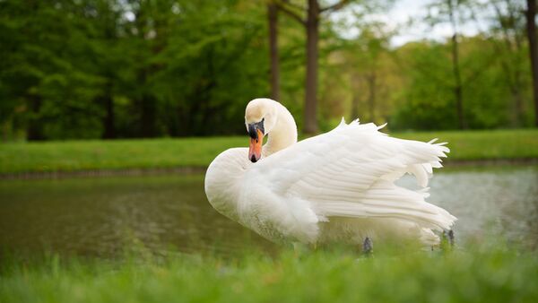 Sigma 24-70mm f/2,8 DG DN II Art   Sony FE-Mount