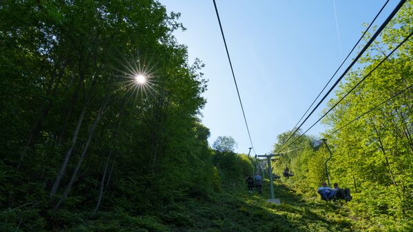 Sigma 24-70mm f/2,8 DG DN II Art   Sony FE-Mount