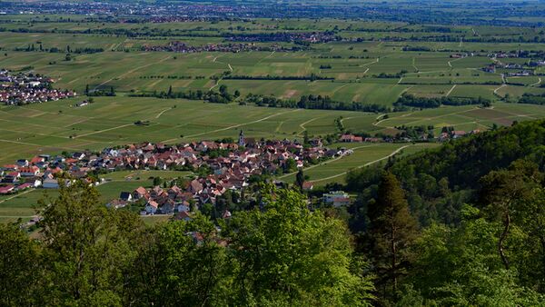 Sigma 24-70mm f/2,8 DG DN II Art   Sony FE-Mount