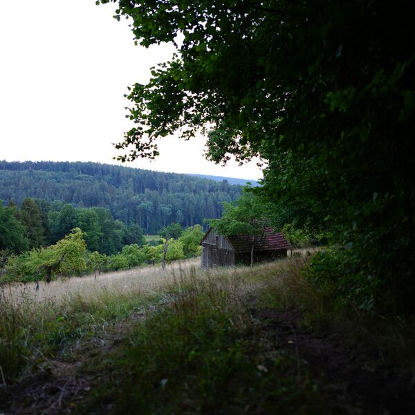 Sigma 24mm f/1,4 DG DN ART  L-Mount