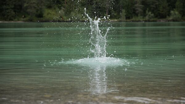 Sigma 28-105mm f/2,8 DG DN Art  L-Mount