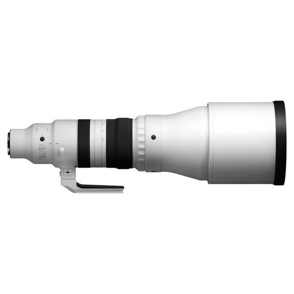 Sigma 300-600mm f/4,0 DG OS Sports  L-Mount