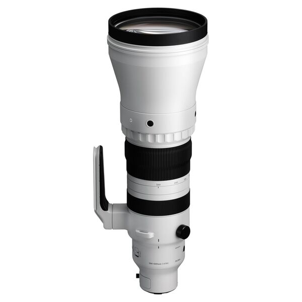 Sigma 300-600mm f/4,0 DG OS Sports  L-Mount