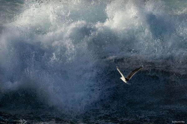 Sigma 500mm f/5.6 DG DN OS Sport  L-Mount