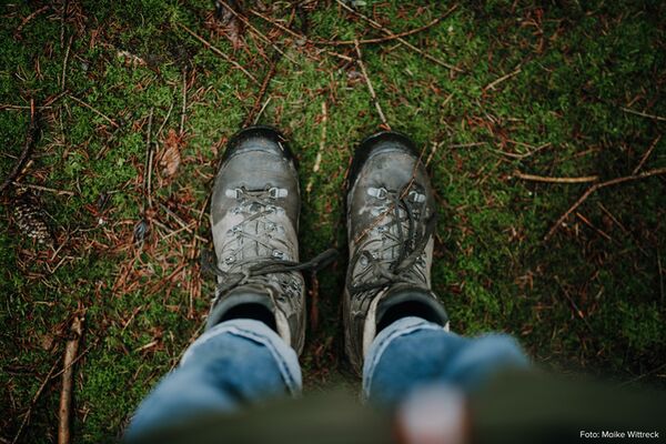 Sigma 50mm f/1.4 DG DN ART   Sony FE-Mount