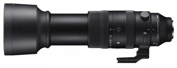 Sigma 60-600mm f/4.5-6.3 DG DN OS Sports  L-Mount