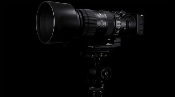 Sigma AF 60-600mm f/4.5-6.3 DG OS HSM S  Canon EF