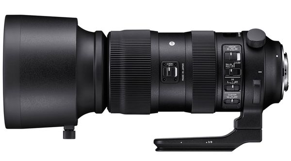 Sigma AF 60-600mm f/4.5-6.3 DG OS HSM S  Nikon FX