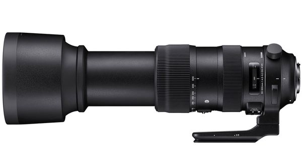 Sigma AF 60-600mm f/4.5-6.3 DG OS HSM S  Nikon FX