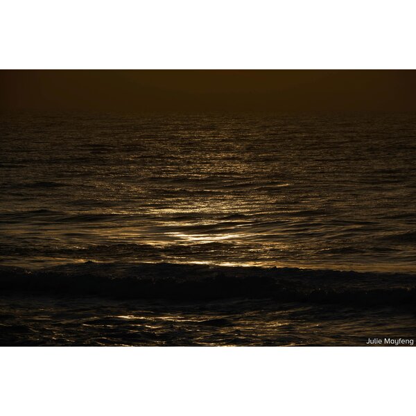 Sigma AF 16-300mm f/3,5-6,7 DC OS Contemporary - Retourenartikel  L Mount - APS-C