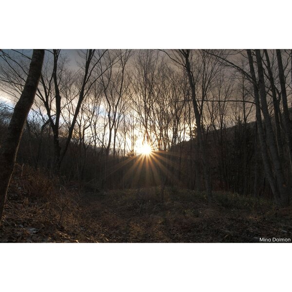 Sigma AF 16-300mm f/3,5-6,7 DC OS Contemporary - Retourenartikel  L Mount - APS-C