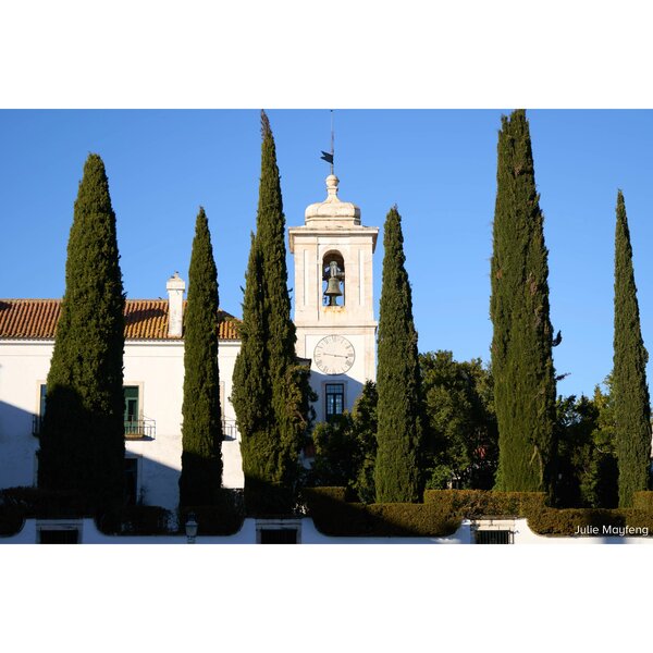 Sigma AF 16-300mm f/3,5-6,7 DC OS Contemporary - Retourenartikel  L Mount - APS-C