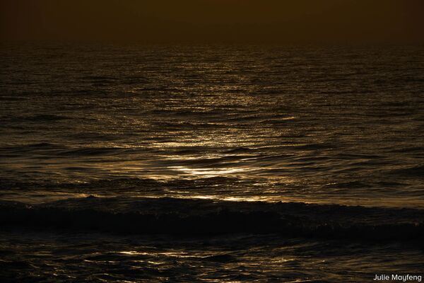 Sigma AF 16-300mm f/3,5-6,7 DC OS Contemporary  L Mount - APS-C