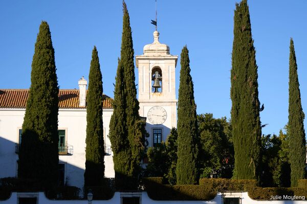 Sigma AF 16-300mm f/3,5-6,7 DC OS Contemporary  Sony E-Mount