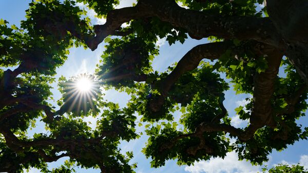 Sigma AF 28-45mm f/1.8 DG DN ART  Sony FE-Mount