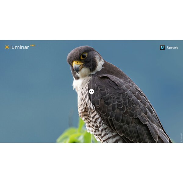 Skylum Luminar Neo  Unbefristet Max-Lizenz