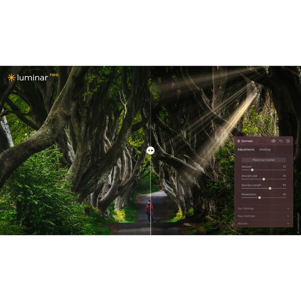 Skylum Luminar Neo  Unbefristet Max-Lizenz