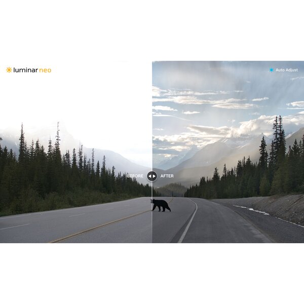 Skylum Luminar Neo  Unbefristete Desktop Lizenz - Kamerabundle