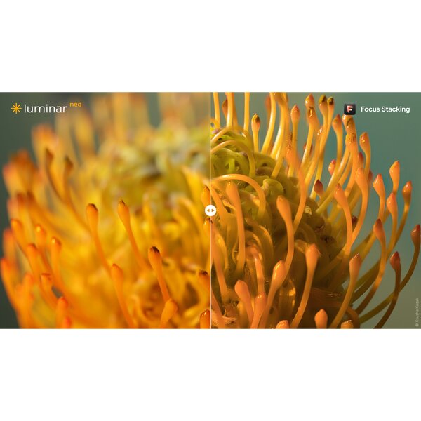 Skylum Luminar Neo  Unbefristete Desktop Lizenz - Kamerabundle