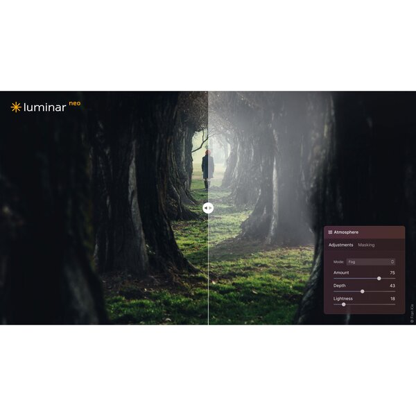 Skylum Luminar Neo  Unbefristete Desktop Lizenz