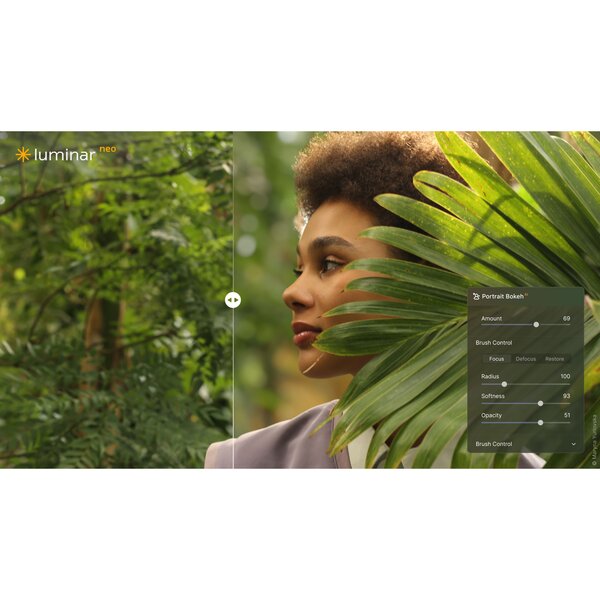 Skylum Luminar Neo  Unbefristete Desktop Lizenz