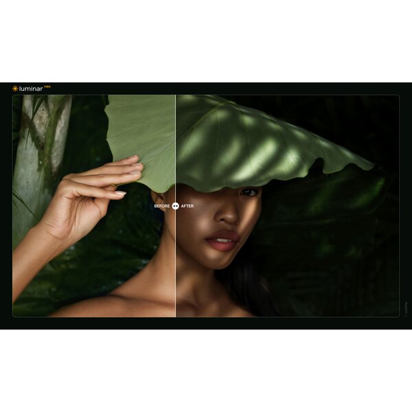 Skylum Luminar Neo  Unbefristete Lizenz für mehrere Geräte