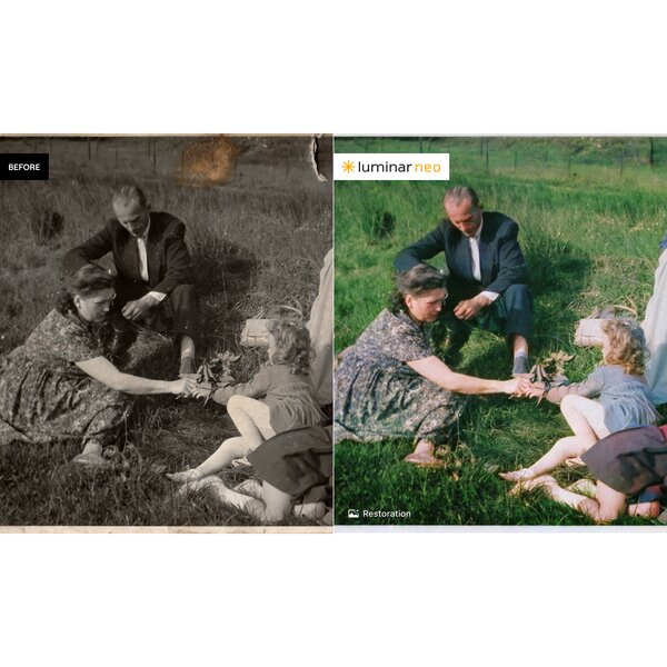 Skylum Luminar Neo  Unbefristete Lizenz für mehrere Geräte