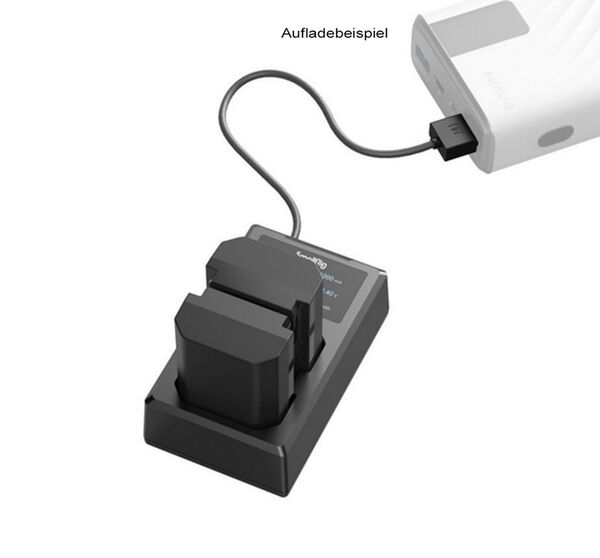 SmallRig 3824B NP-FZ100 Kamera-Akku und Ladegerät Kit 