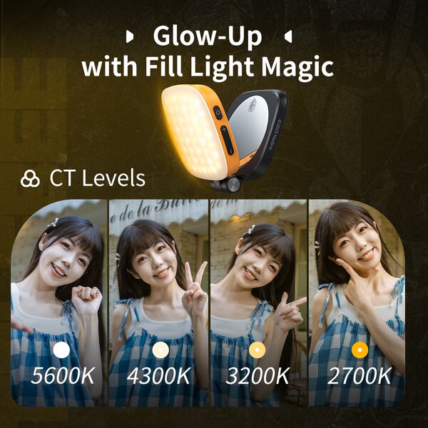 SmallRig Vibe P48 Abnehmbares LED-Videolicht für Mobiltelefone  BumbleBee Edition